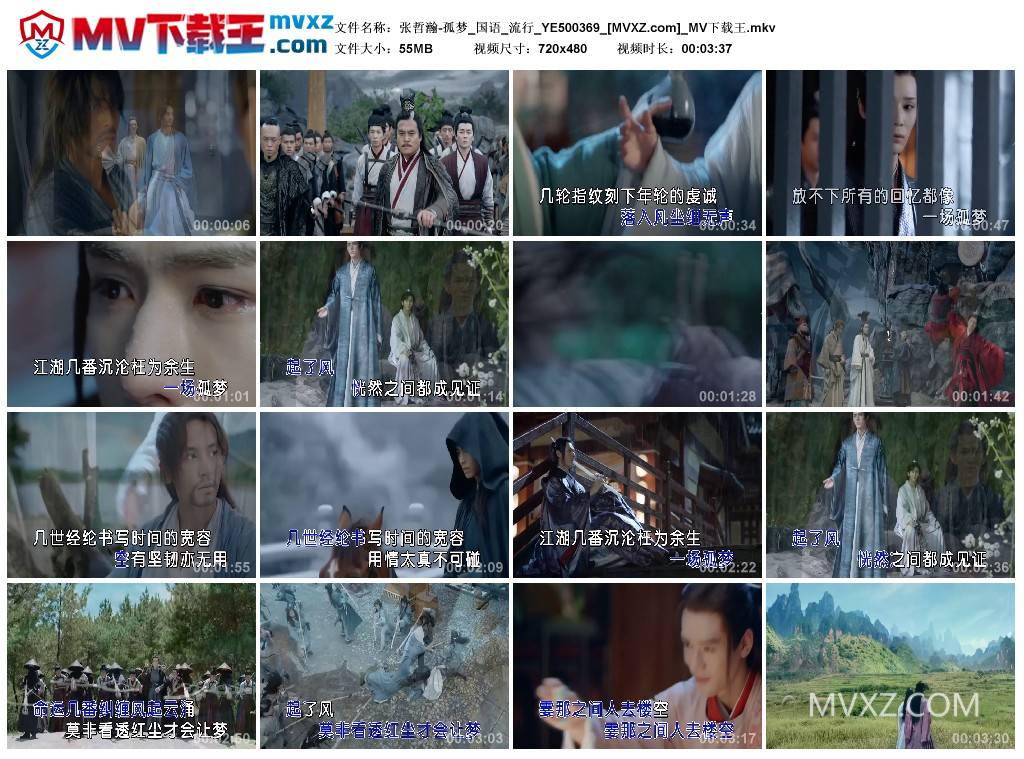 张哲瀚-孤梦_国语_流行_YE500369